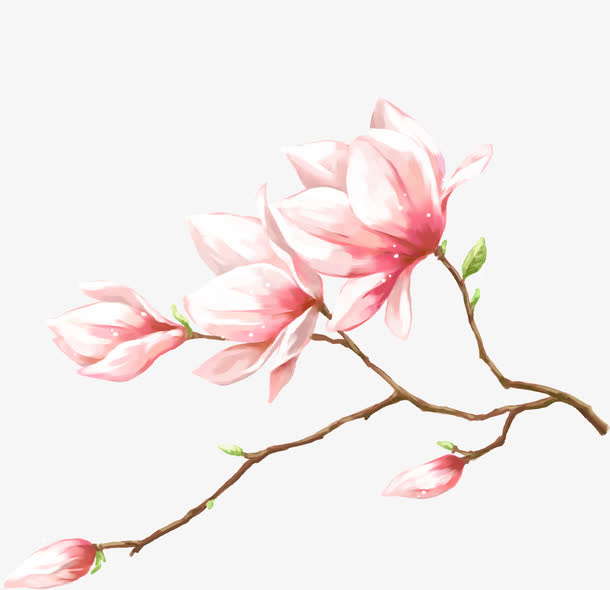 手绘唯美古风桃花装饰免抠