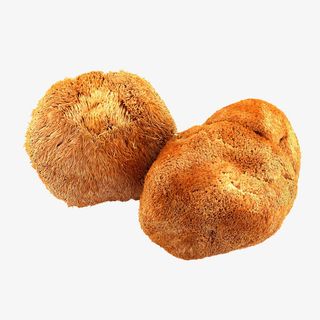 两个猴头菇实拍免抠