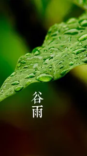 谷雨H5素材背景高清