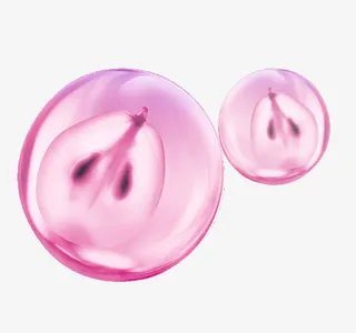 手绘葡萄籽免抠