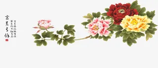 工笔画牡丹免抠