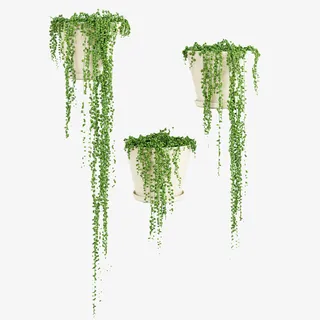 三个长草吊篮花免抠