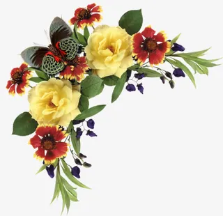 多色鲜花蝴蝶花边框免抠