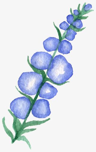 水彩蓝色小花免抠