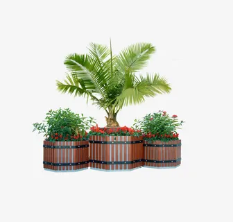 木制花坛中的花与植物免抠