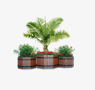 木制花坛中的花与植物免抠