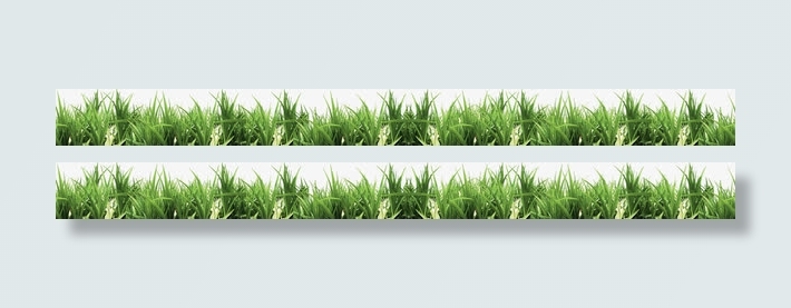 绿色小草春天背景海报