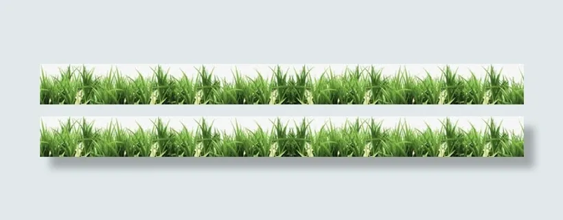 绿色小草春天背景海报