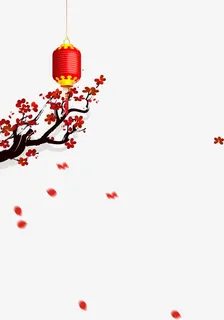 梅花免抠 梅花免抠