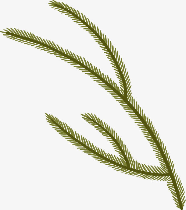 花圣诞枝背景免抠