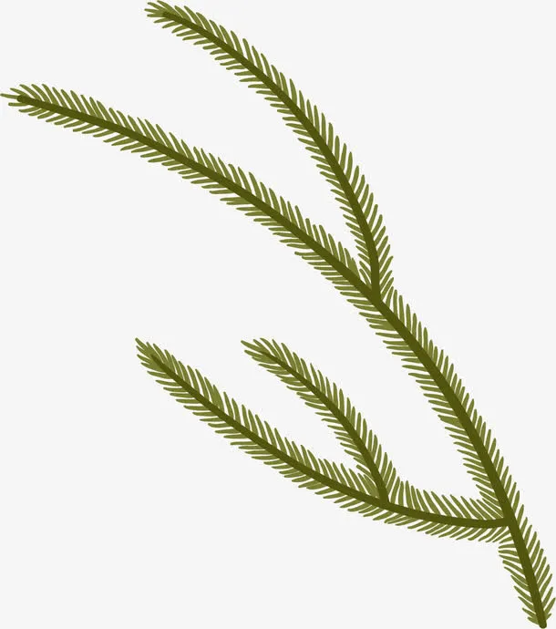 花圣诞枝背景免抠