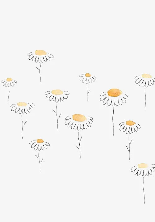 手绘花朵免抠
