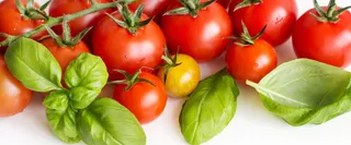 西红柿 蔬果高清