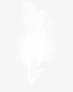 羽毛免抠漂浮其他元素