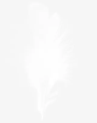 羽毛免抠漂浮其他元素