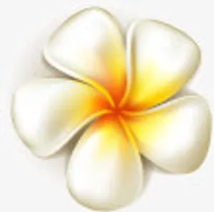 夏日立体花朵效果免抠