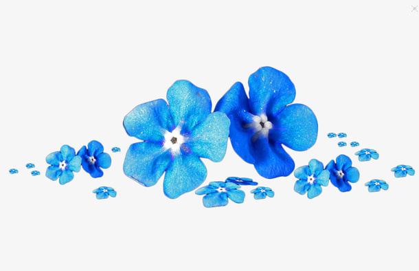 蓝色花朵免抠