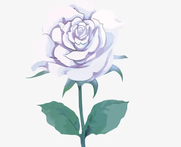 矢量白玫瑰免抠