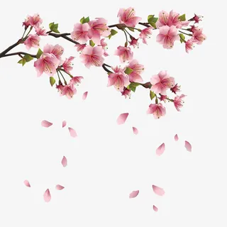 手绘桃花落花设计素材免抠