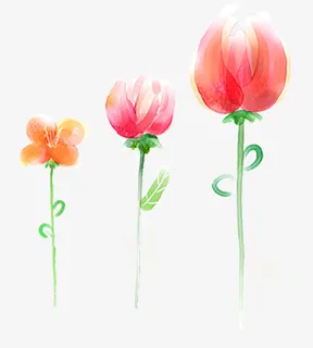 春天花朵手绘多个素材免抠