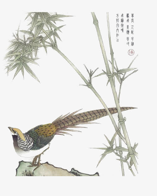 花枝漂浮花瓣气泡简洁大方树叶树免抠