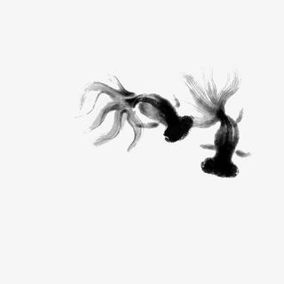 PNG免抠无背景素材动物世界水墨金鱼免抠