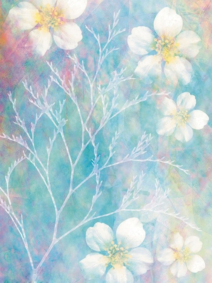 水彩晕染花卉手绘高清