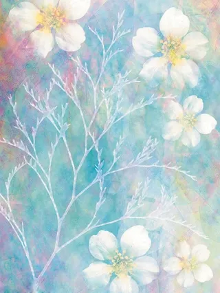 水彩晕染花卉手绘高清