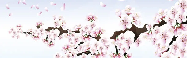 春季桃花背景