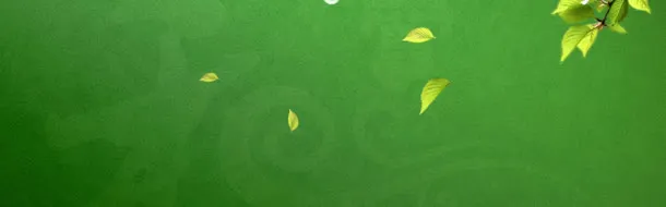 边饰绿叶梦幻绿色免抠