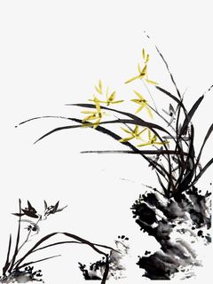 中国画兰花免抠