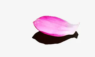 一片粉红桃花免抠