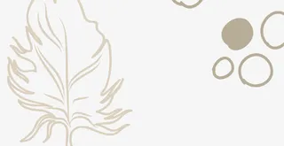 手绘羽毛矢量图免抠