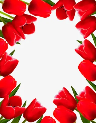 郁金香边框免抠