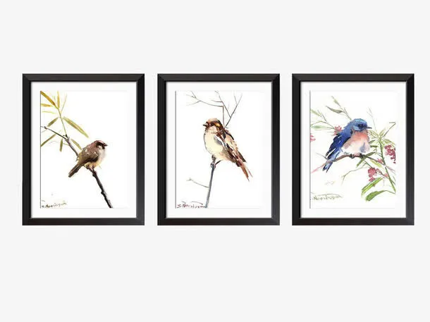 各色姿态的鸟儿免抠