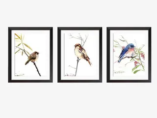 各色姿态的鸟儿免抠