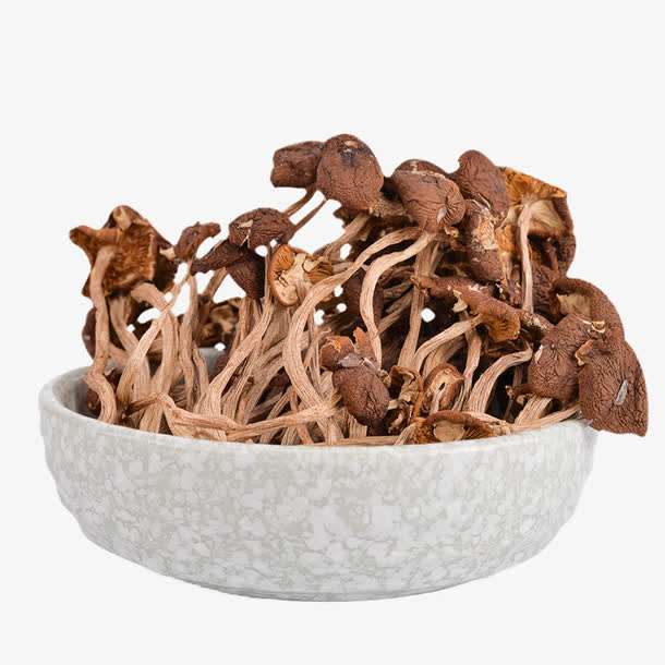 茶树菇食材免抠