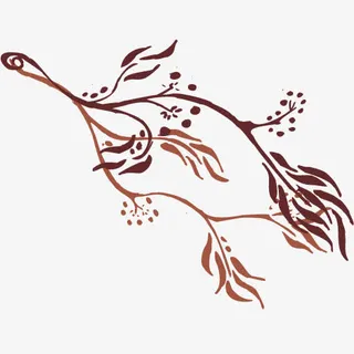 棕色简笔画树枝免抠