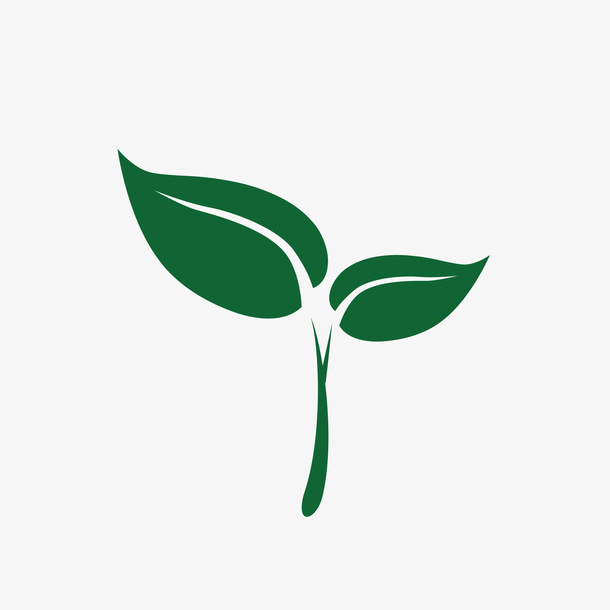 植物的叶子图标免抠