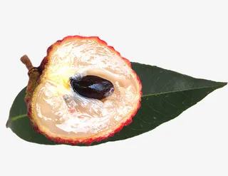 半个桂味荔枝免抠PNG免抠