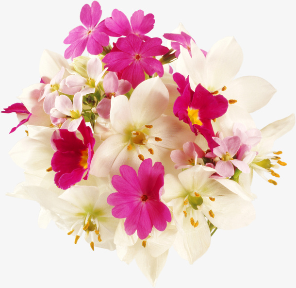 花卉图案鲜花花草免抠