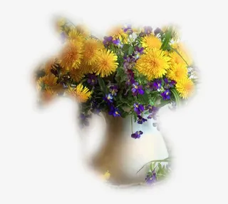 ps花卉素材绿植花草免抠