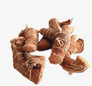 高良姜中药免抠