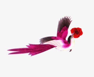 唯美精美卡通可爱鸟喜鹊献花免抠