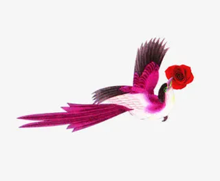 唯美精美卡通可爱鸟喜鹊献花免抠