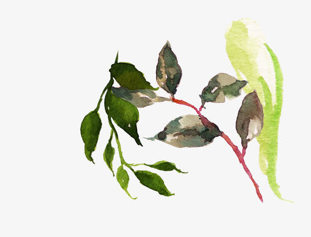 水彩手绘免抠