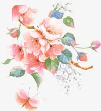 彩绘花朵绿叶树枝免抠