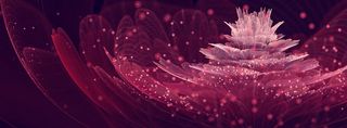 酷炫光效花瓣背景高清