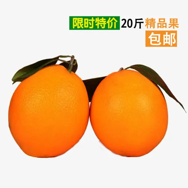 两个橙子免抠