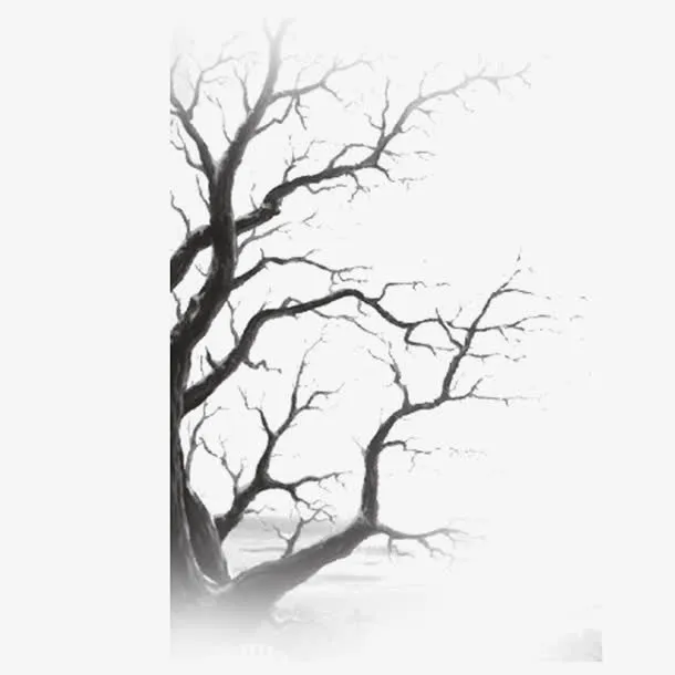 黑色枯枝免抠